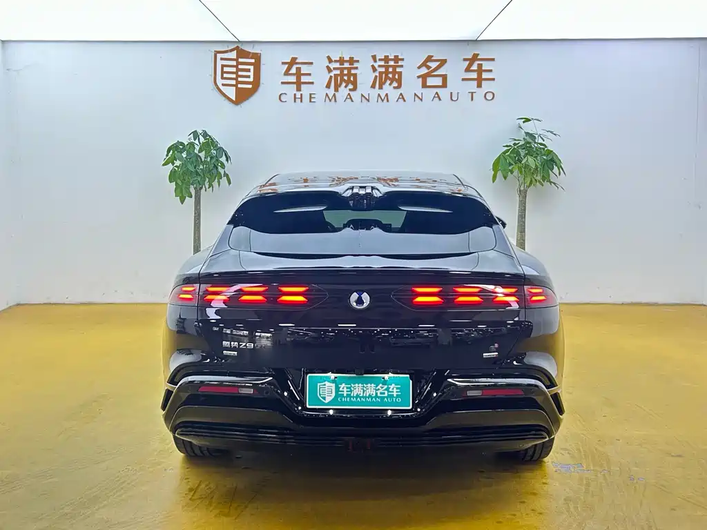 Denza Denza Z9GT — миниатюра 9