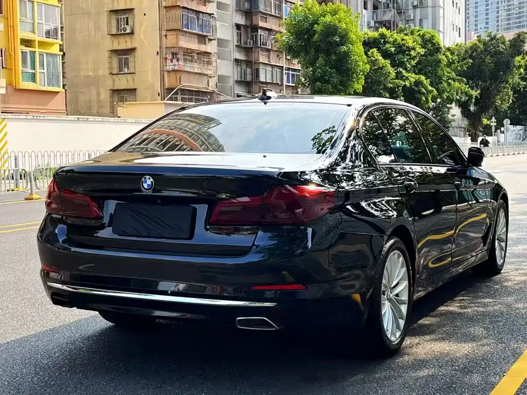 BMW 5 Series 5 2020 530Li Premium Luxury