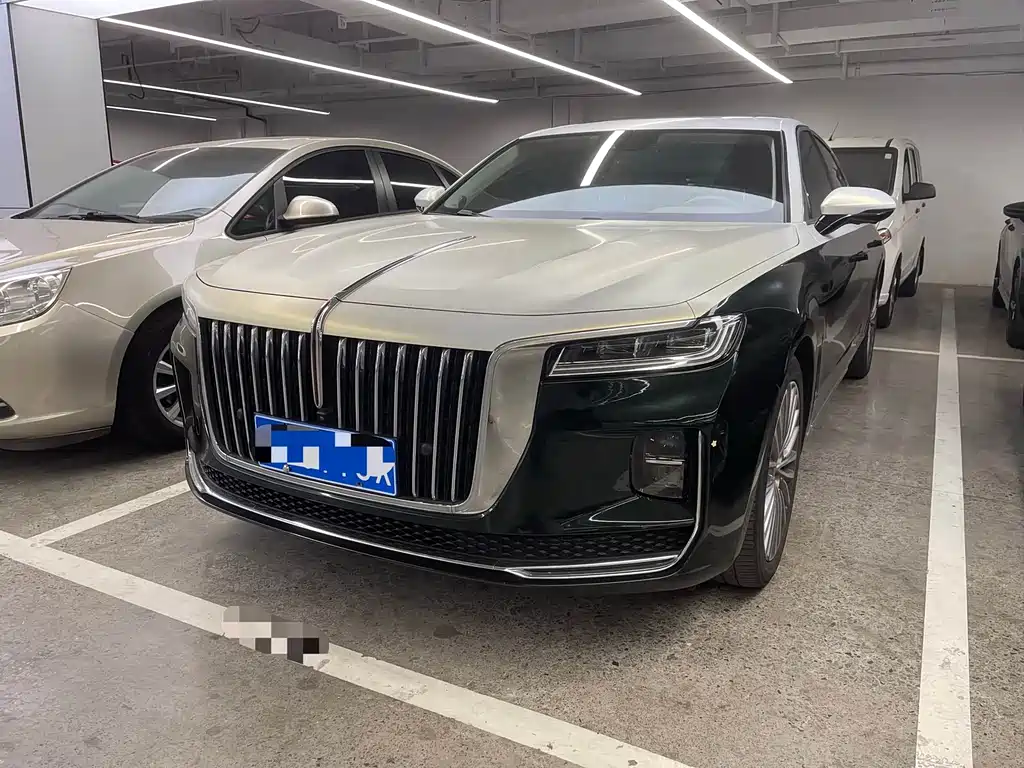 Hongqi Hongqi H9 2021
