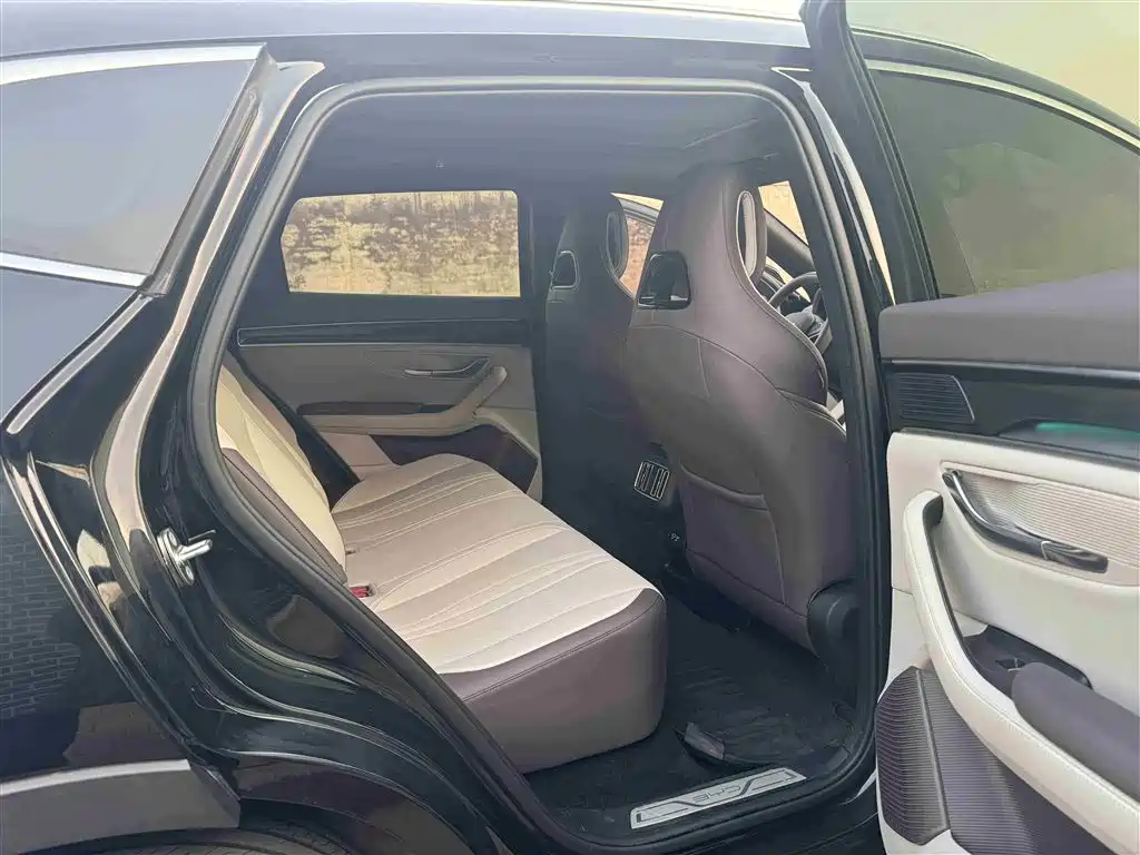 BYD SONGJIANG NEW ENERGY