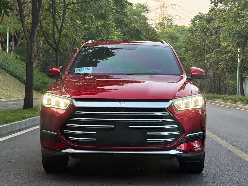 BYD Pro New Energy — миниатюра 2