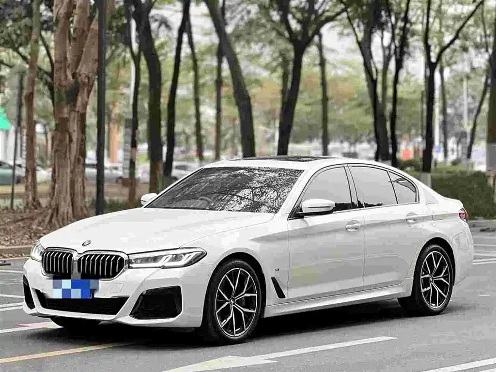 BMW 5 SERIES
