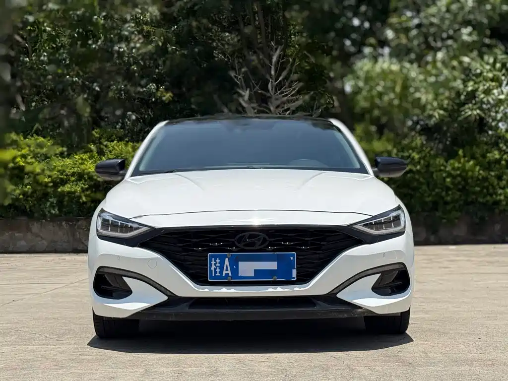 Hyundai Lafesta 280TGDi Luxury Sport Dynamic Enjoy Edition, фото 2