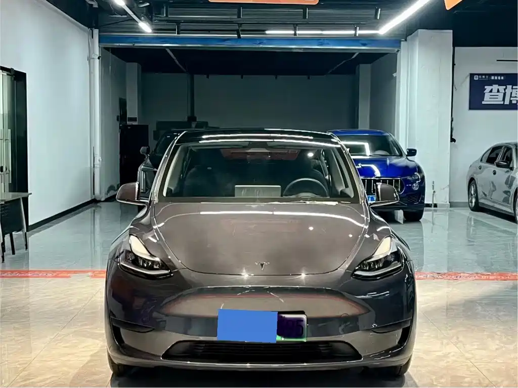 Tesla Model Y — миниатюра 2