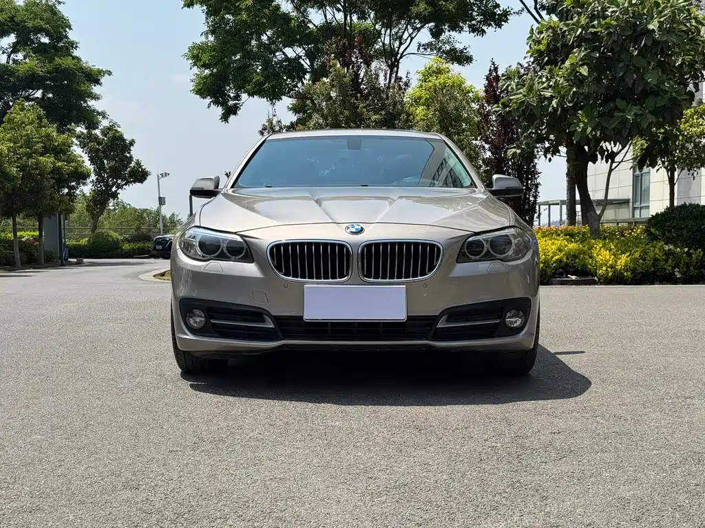BMW 5 Series 5 2017 525Li Lead