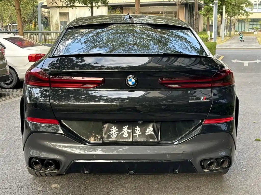 BMW X6