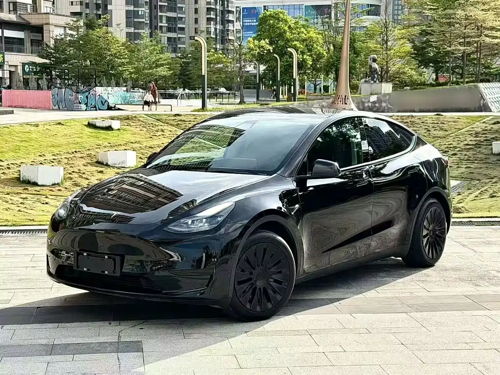 Tesla Model Y — миниатюра 2