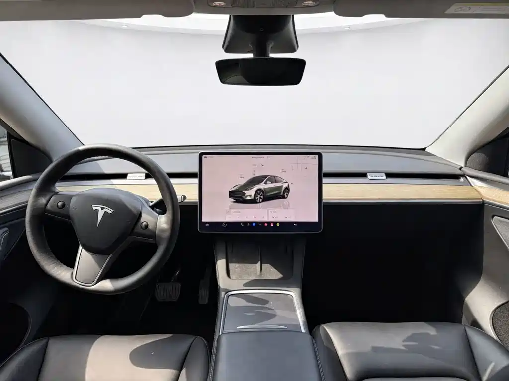 Tesla Model Y — миниатюра 7