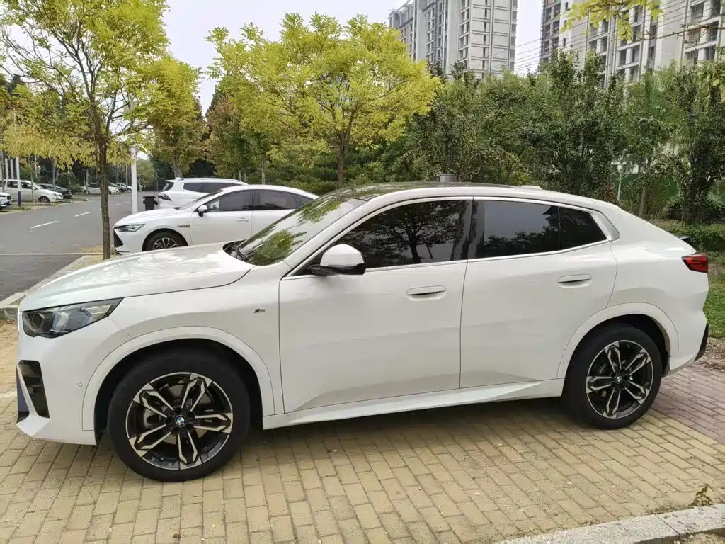 BMW X2 (Import) — миниатюра 3