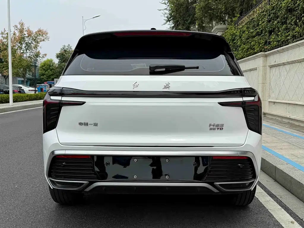 Hongqi Hongqi HS3 — миниатюра 4