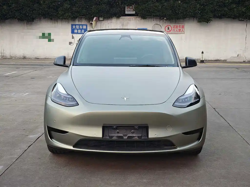 Tesla Model Y — миниатюра 2