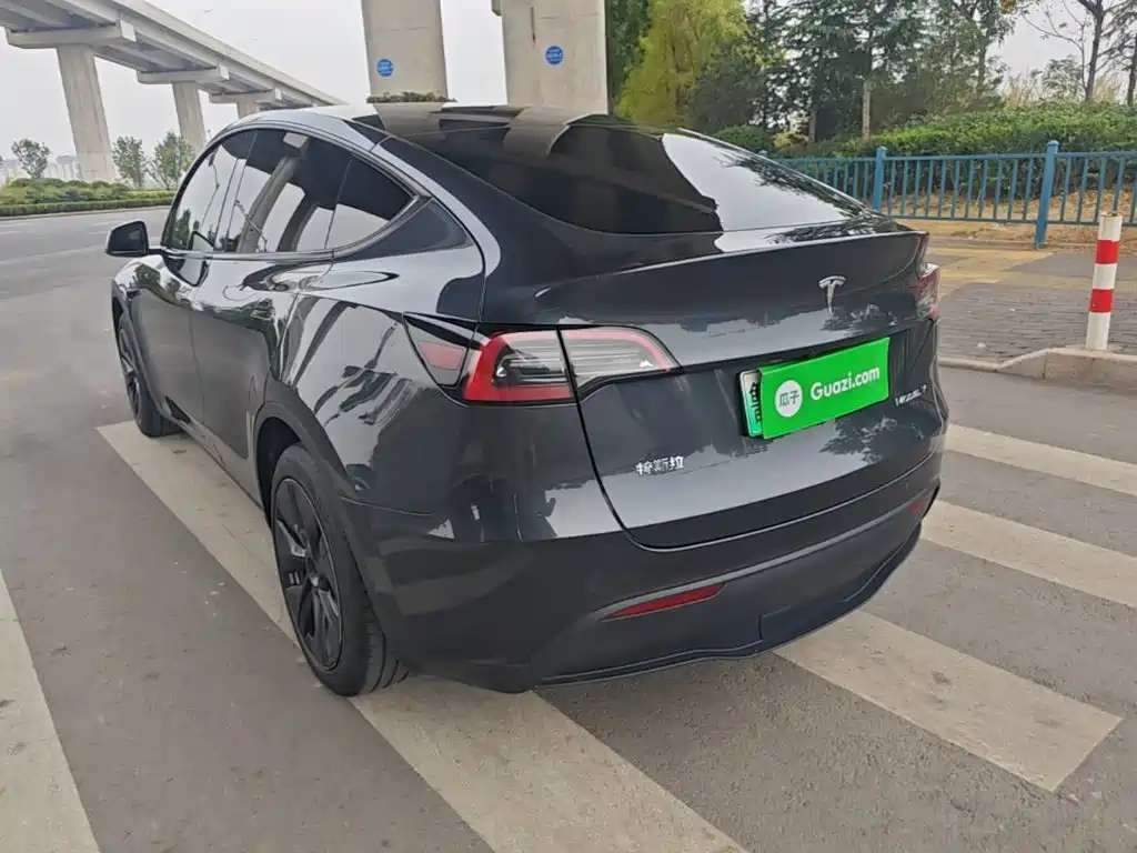 Tesla Model Y — миниатюра 5