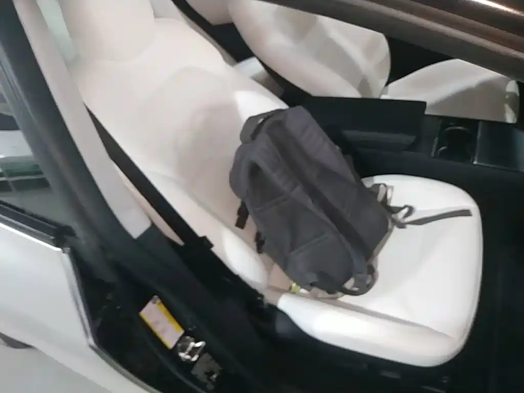 Tesla Model 3 — миниатюра 25