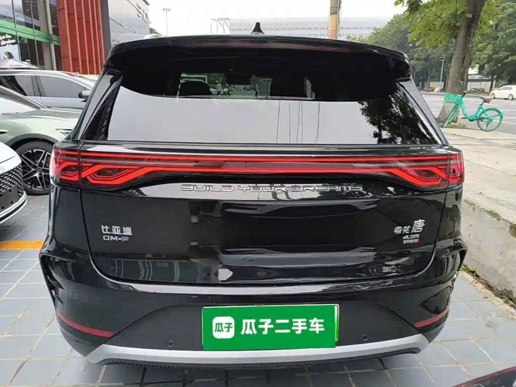 BYD Tang New Energy — миниатюра 6