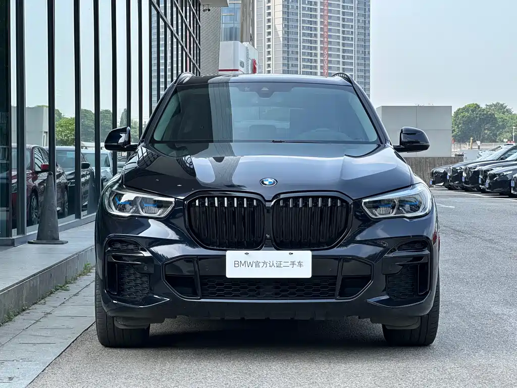 BMW X5 — миниатюра 2