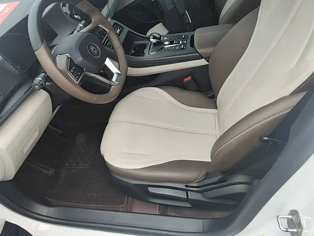 BYD Qin PLUS — миниатюра 15