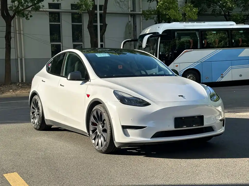 Tesla Model Y — миниатюра 3
