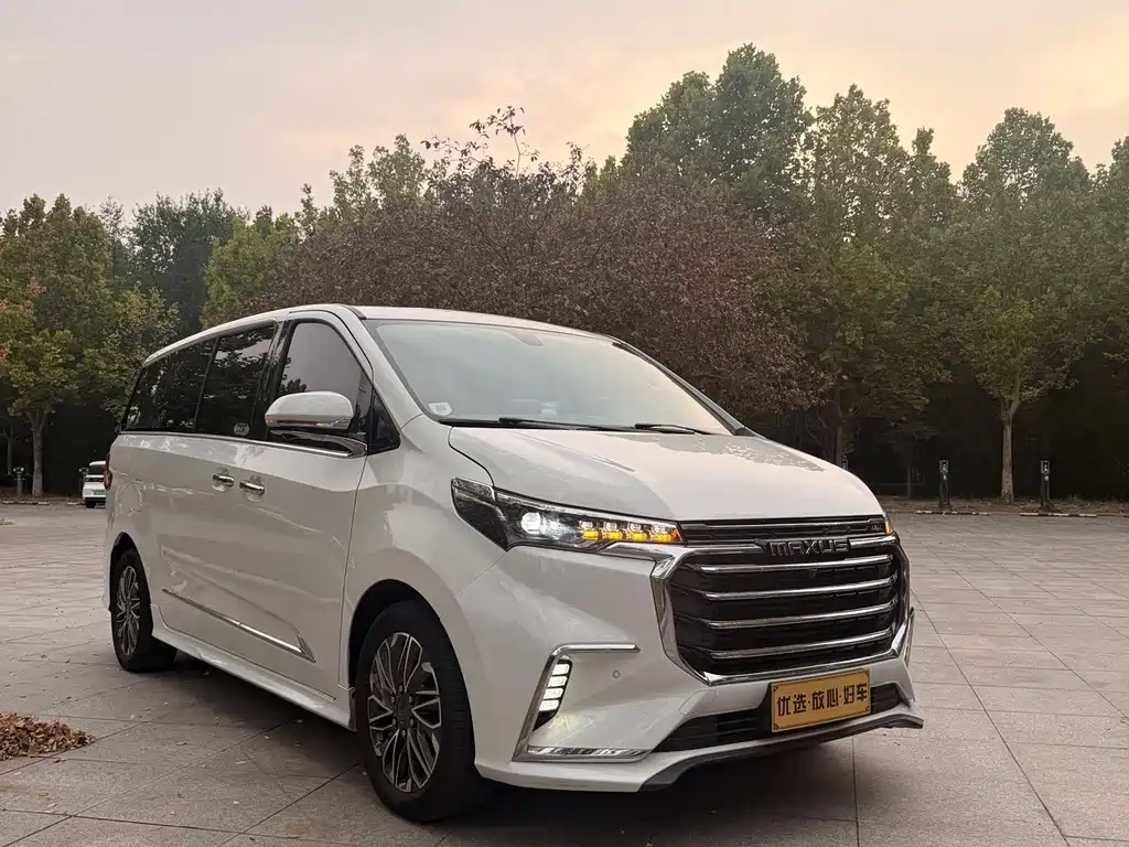 MAXUS G20 — миниатюра 8