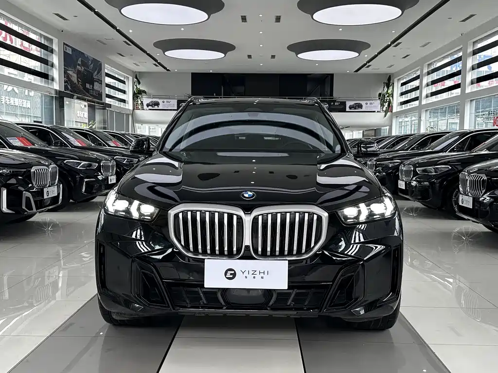 BMW X5 — миниатюра 2