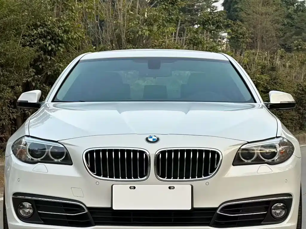 BMW 5 Series — миниатюра 2