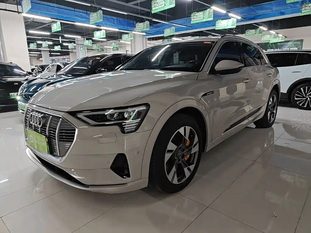 Audi e-tron (Import) — миниатюра 2