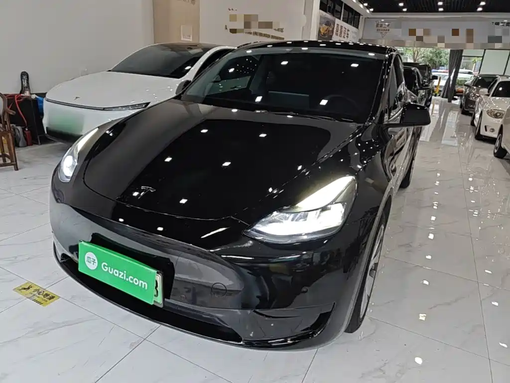 Tesla Model Y — миниатюра 2