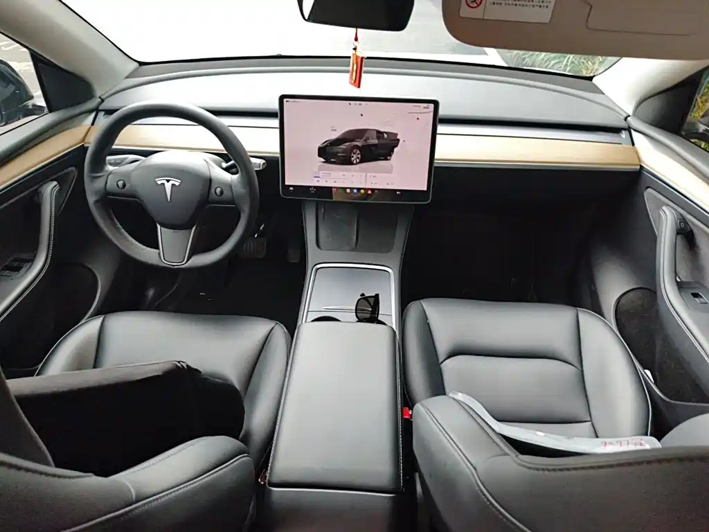 Tesla Model Y — миниатюра 10