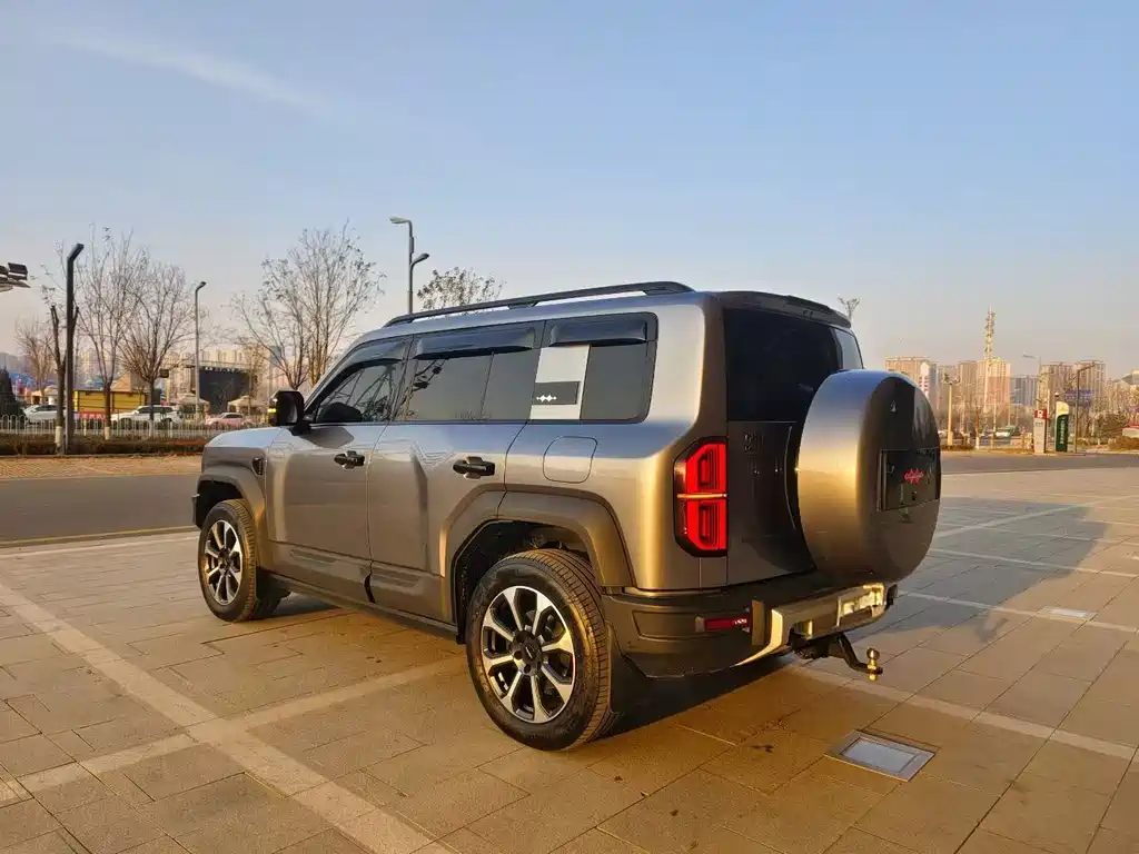 FANG CHENG BAO LEOPARD 5