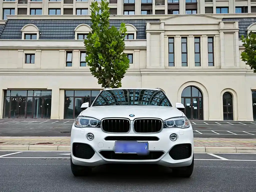 BMW X5 (Import) — миниатюра 13