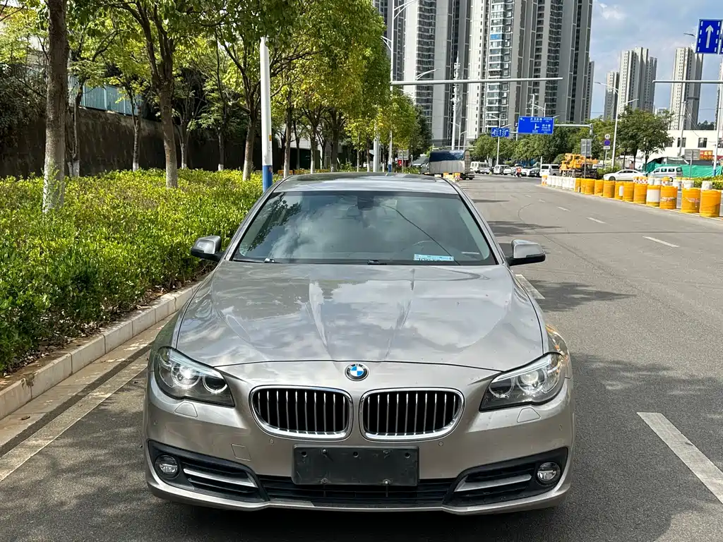 BMW 5 Series — миниатюра 2