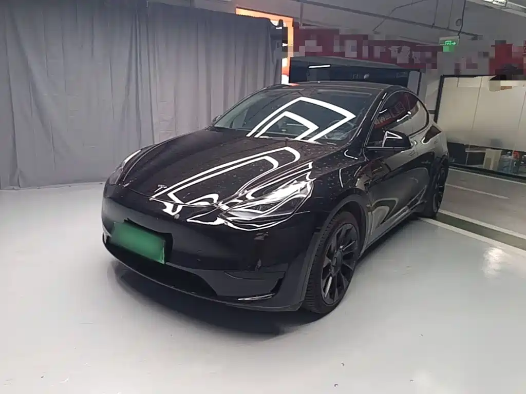 Tesla Model Y — миниатюра 2