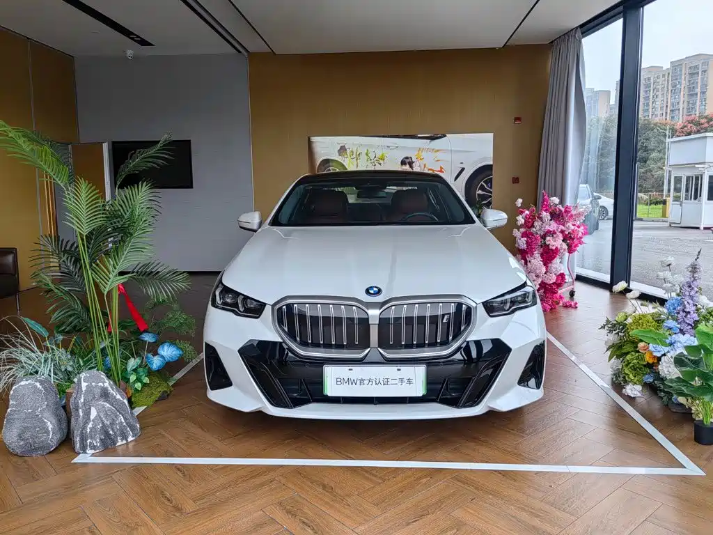 BMW i5 — миниатюра 2