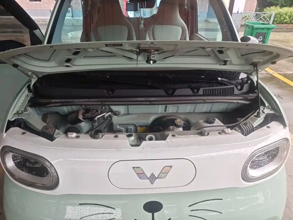 Wuling MINIEV — миниатюра 20