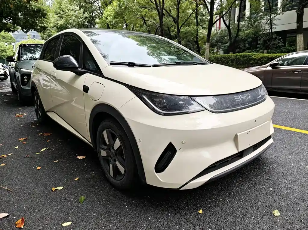 BYD Dolphin — миниатюра 3