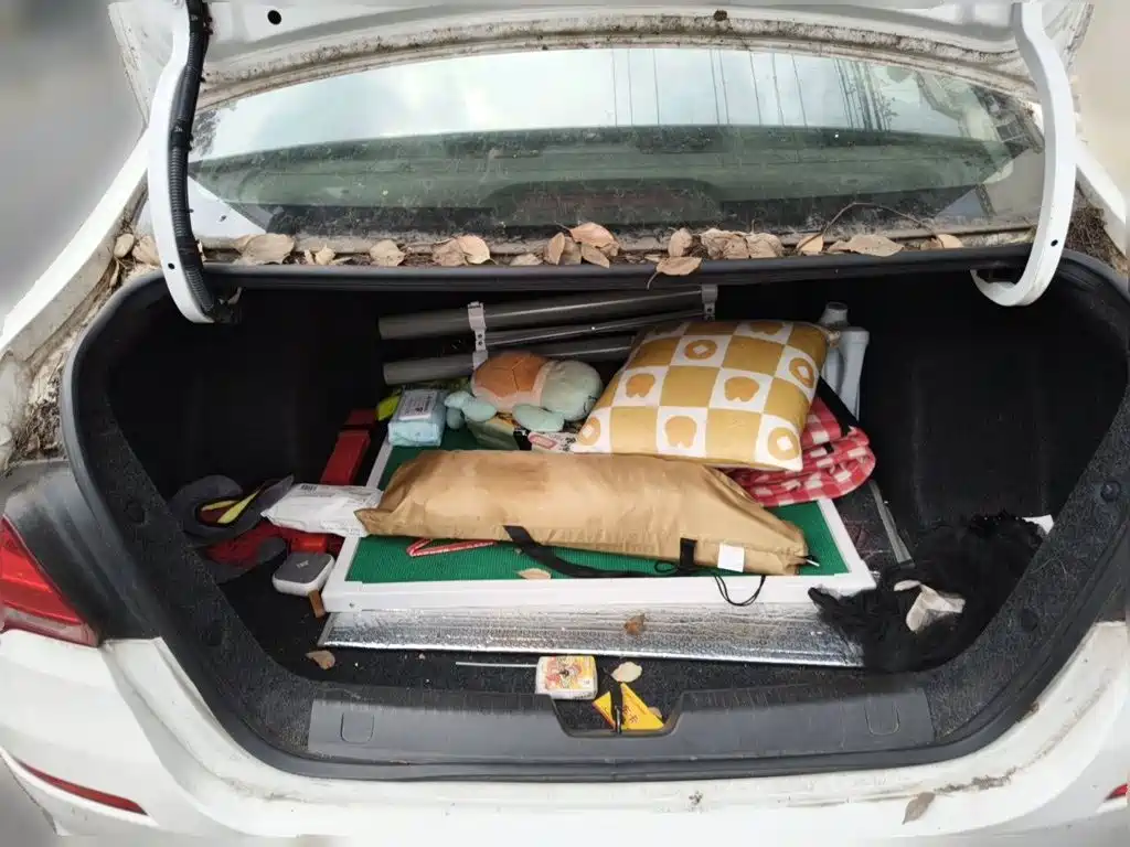 Chevrolet Cavalier — миниатюра 10