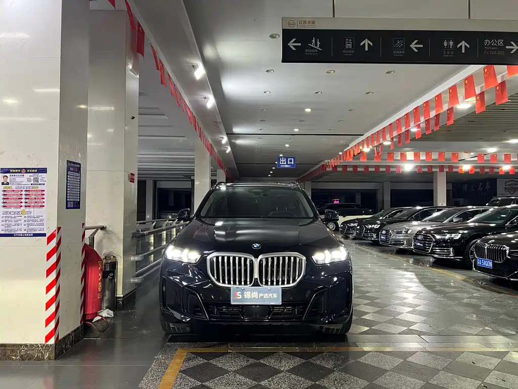 BMW X5 — миниатюра 2