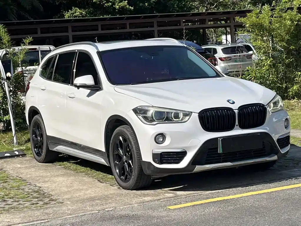 BMW X1 2019 xDrive25Le Luxury