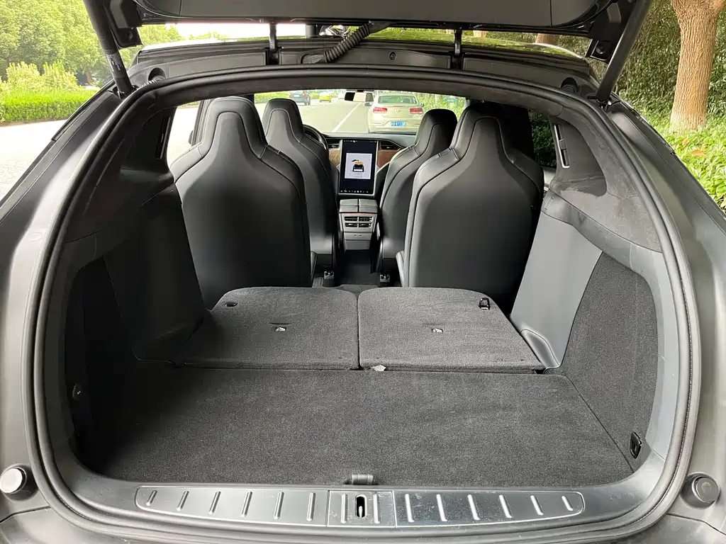Tesla Model X — миниатюра 10
