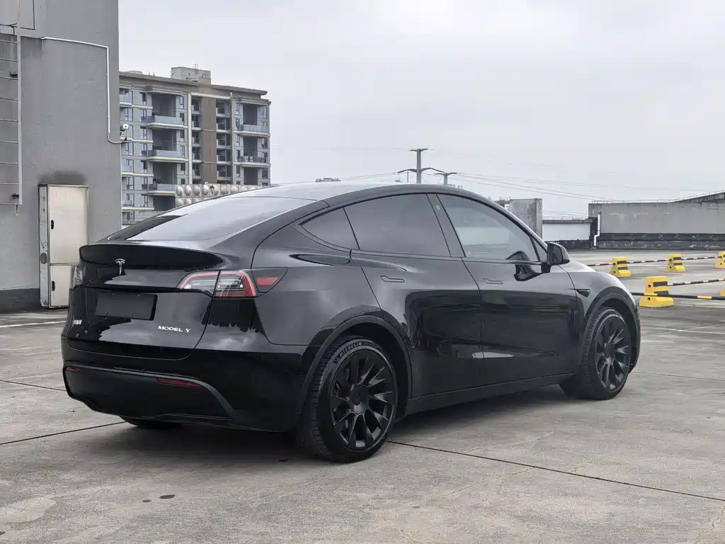 Tesla Model Y — миниатюра 7
