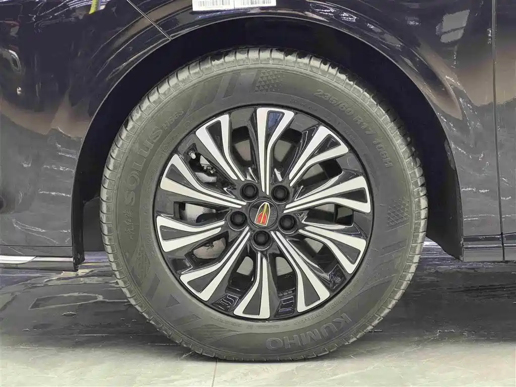 Hongqi HQ9 PHEV 2024 2.0T