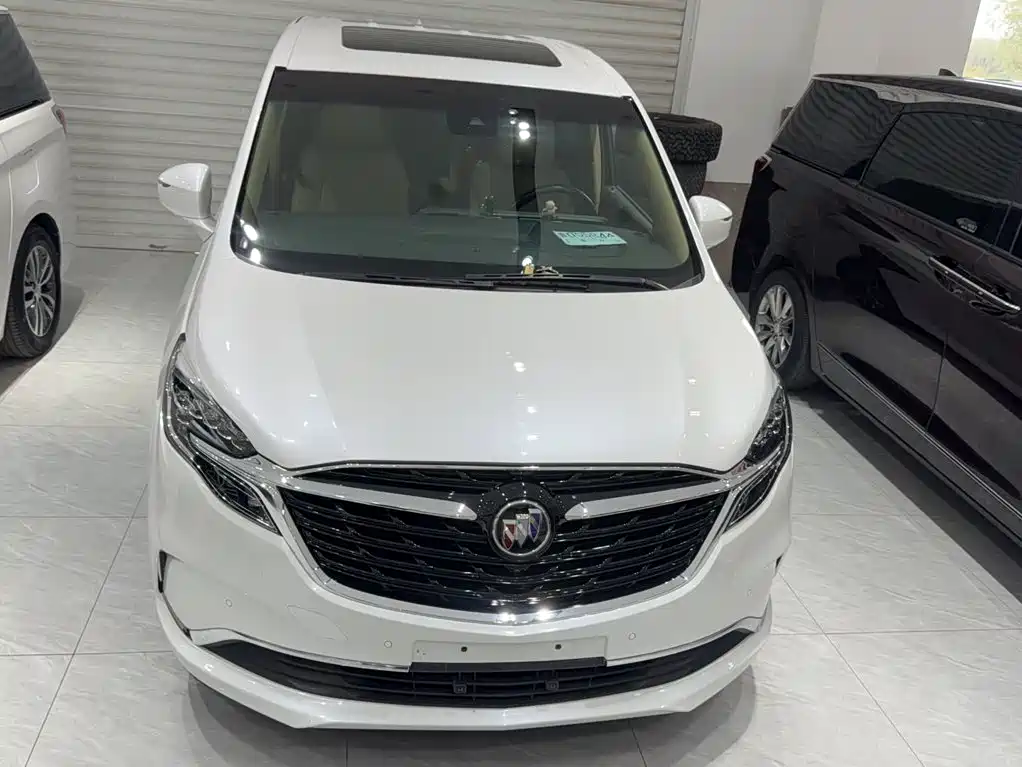 Buick GL8 — миниатюра 15