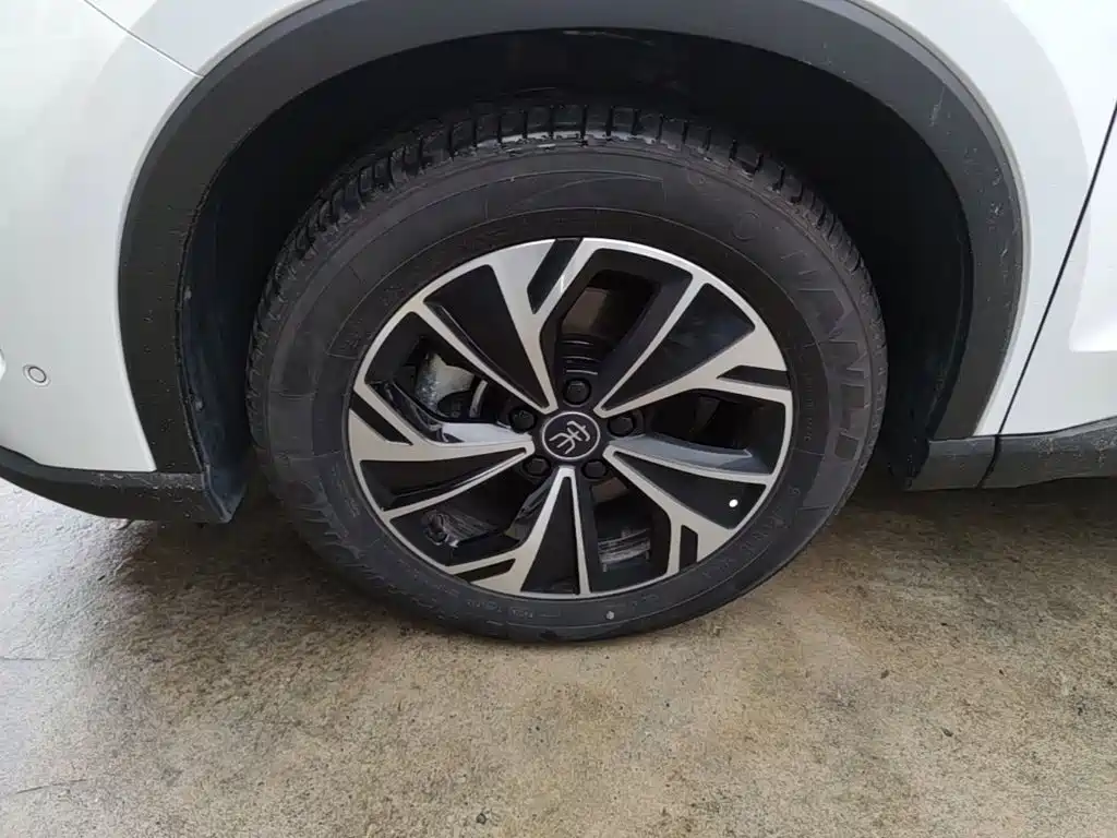 BYD Pro New Energy — миниатюра 23