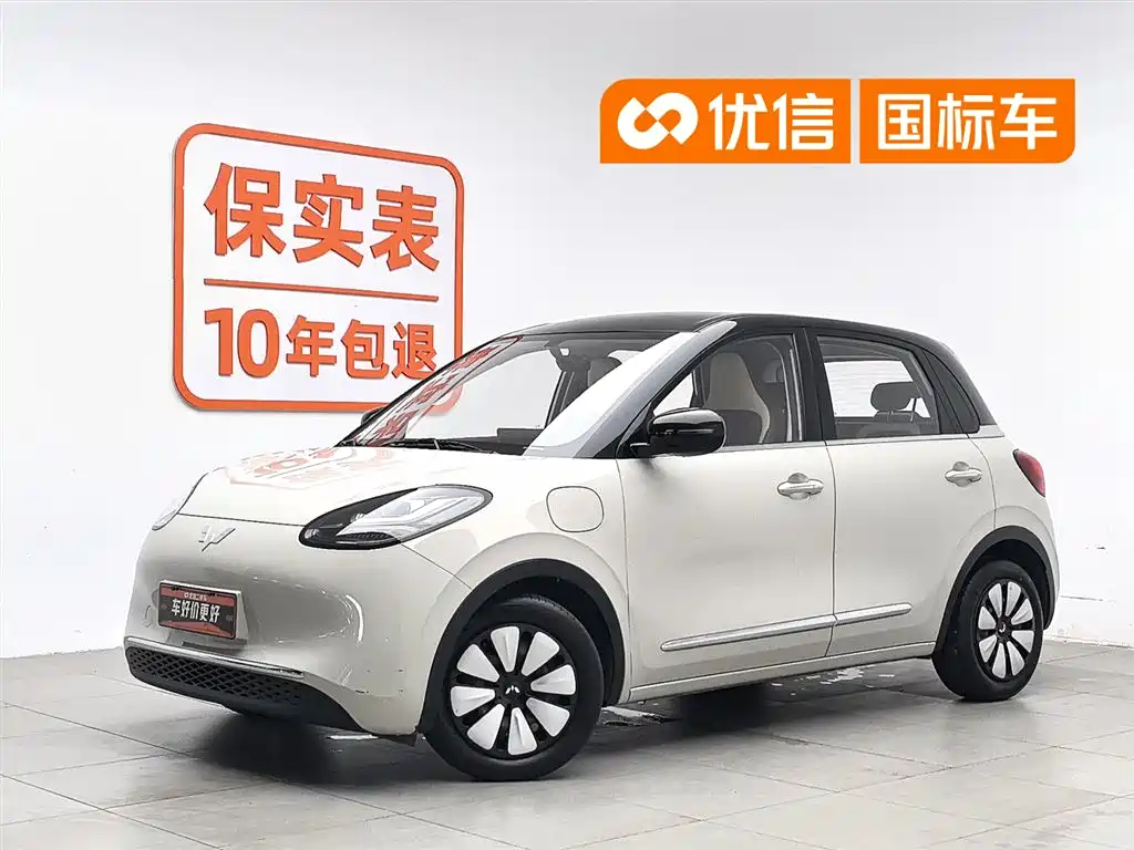 Wuling Binguo 2024 333km Delight