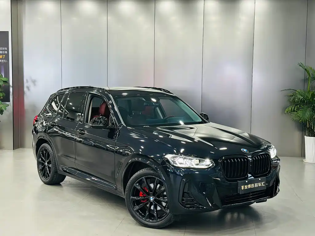 BMW X3 — миниатюра 3
