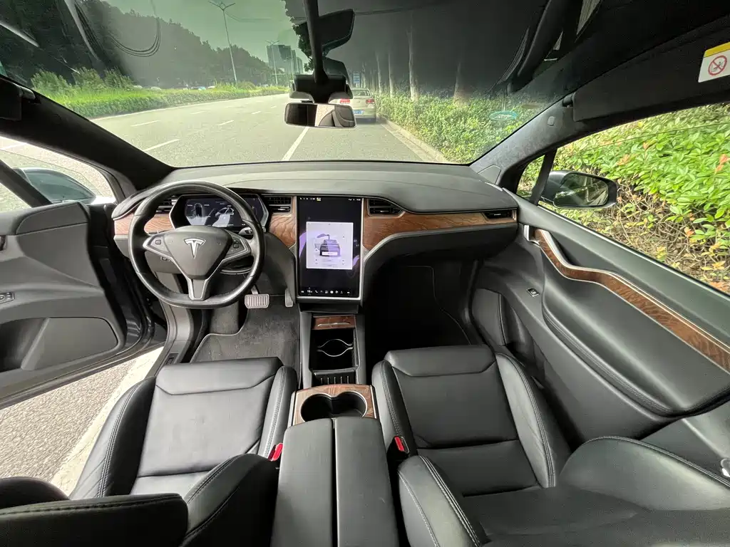 Tesla Model X — миниатюра 8