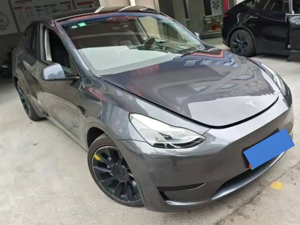 Tesla Model Y — миниатюра 2