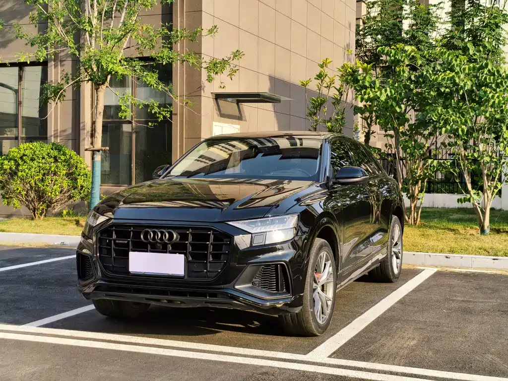 Audi Q8 2022 55 TFSI Luxury