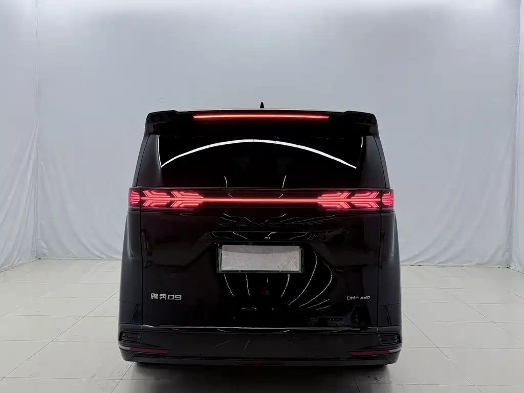 Denza Denza D9 — миниатюра 15