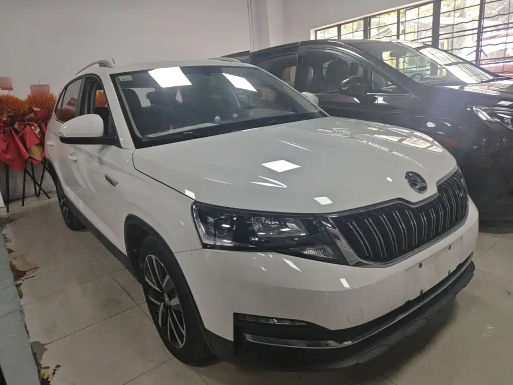 Skoda Kamiq — миниатюра 4