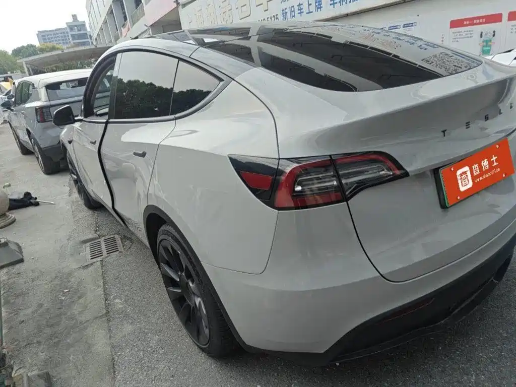 Tesla Model Y — миниатюра 4